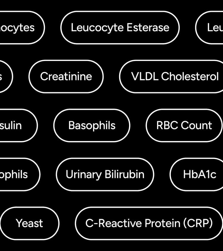 100+ Blood & Urine Biomarkers